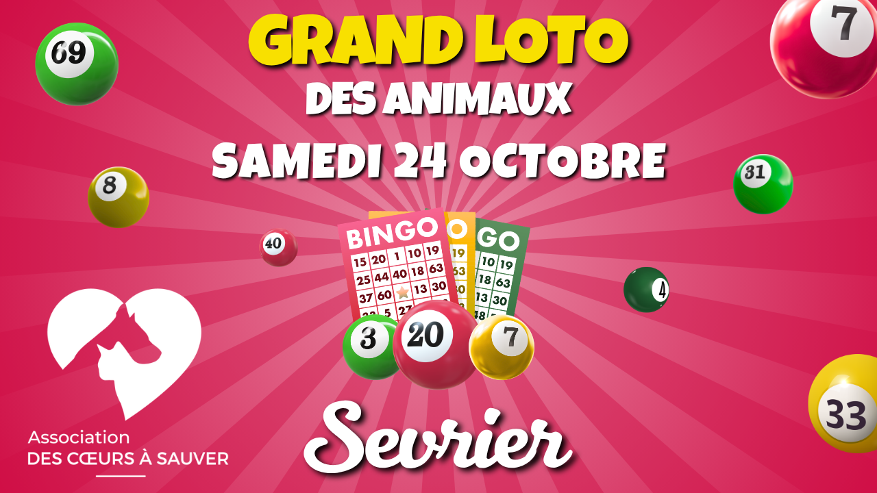Image du loto Grand Loto des Animaux