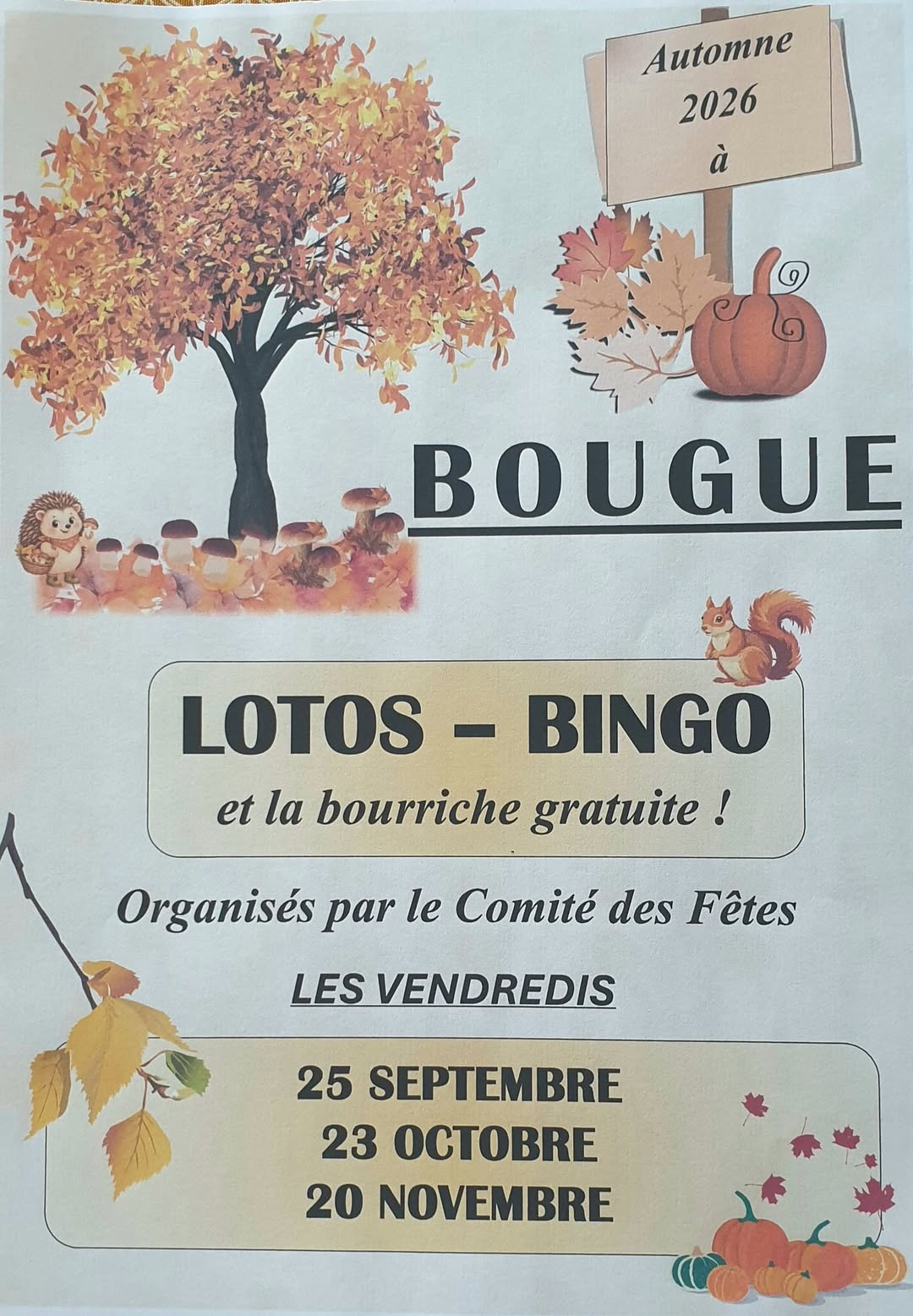 Affiche du loto LOTOS - BINGO