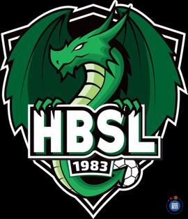 Affiche du loto Grand loto du HBSL
