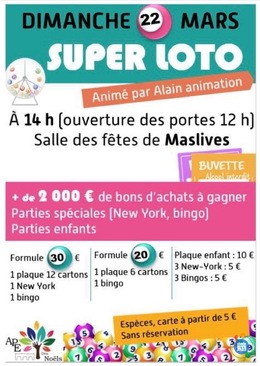 Image du loto Loto de l’APE des Noëls.