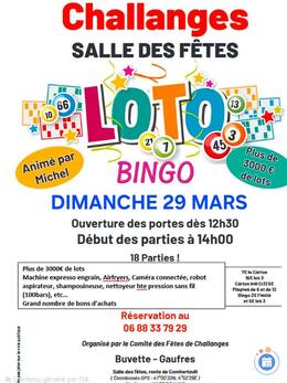 Image du loto Loto comite des fetes de challanges