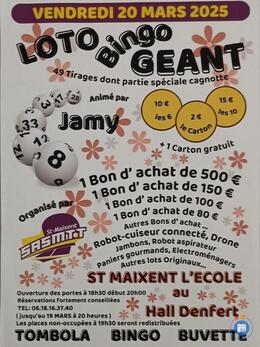 Image du loto Loto Bingo Geant