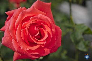 Image du loto ( L' association )