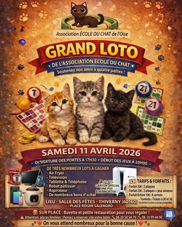 Image du loto Grand loto école du chat