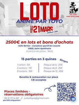 Image du loto Loto Judo Saint-Apollinaire