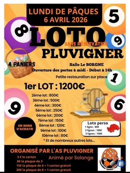 Image du loto Loto Foot ASP Pluvigner