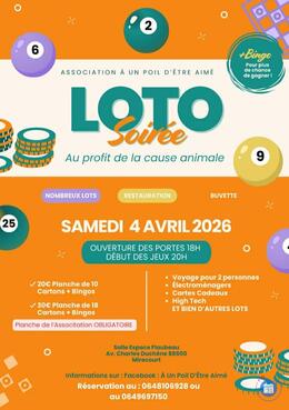 Image du loto Loto