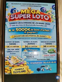 Image du loto Mega loto