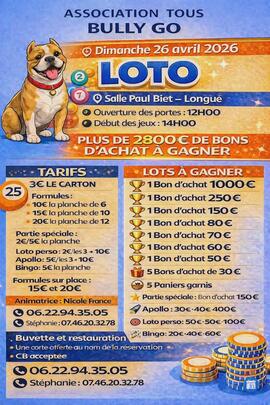 Image du loto Loto